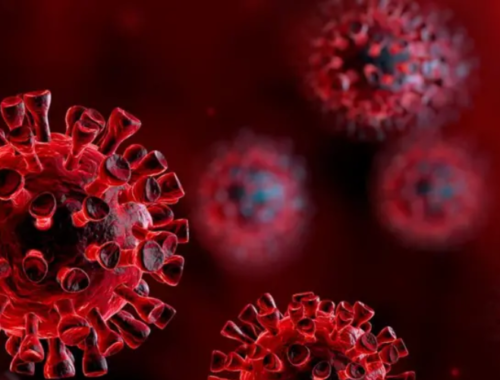 virus