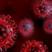 virus