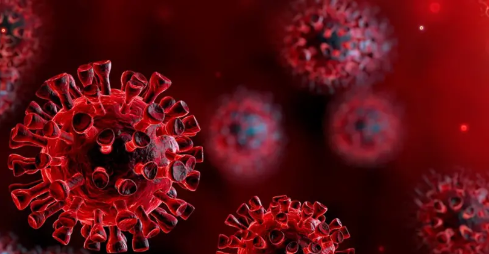 virus
