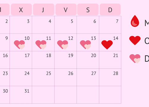 calendario de ciclo menstrual