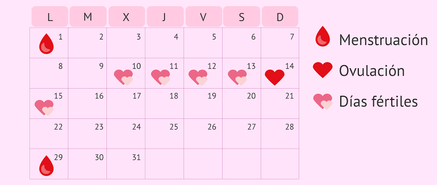calendario de ciclo menstrual